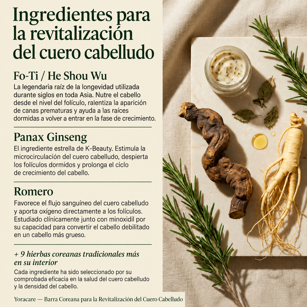 Barra Coreana Reparadora para Hombre