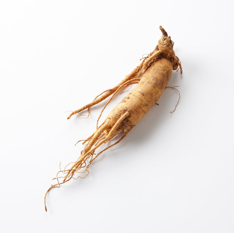 Raíz de Panax ginseng