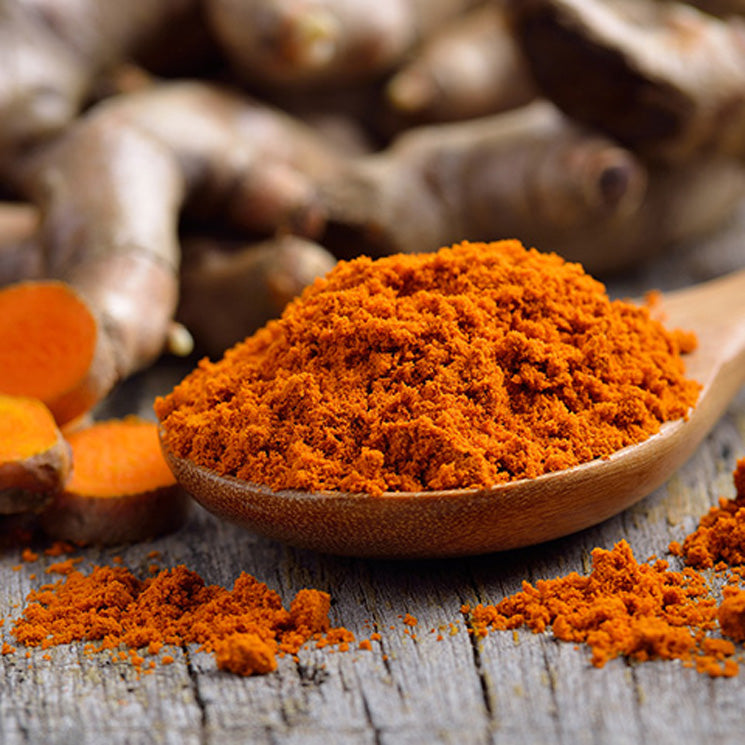 LONGVIDA® Curcumin